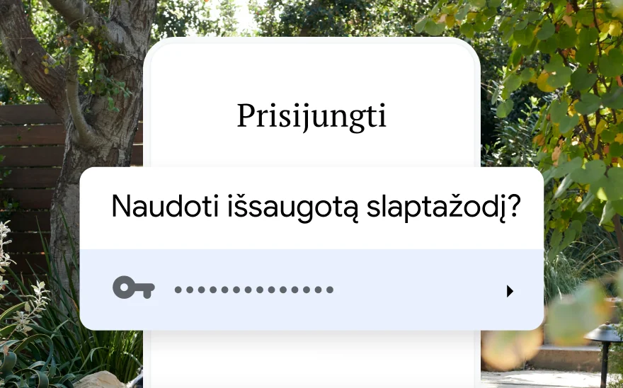 Kelionės rezervavimo prisijungimo puslapis, kuriame prašoma naudoti išsaugotą slaptažodį. Fone gamtos peizažas.